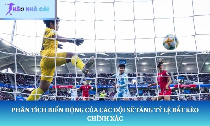 Phân tích biến động của các đội sẽ tăng tỷ lệ bắt kèo chính xác