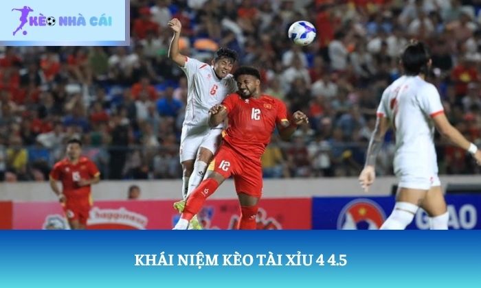Khái niệm kèo Tài Xỉu 4 4.5