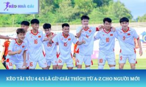 Kèo Tài Xỉu 4 4.5 là gì
