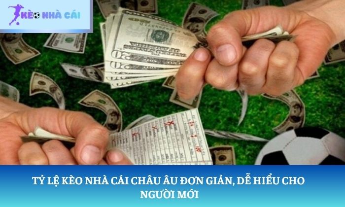 Tỷ lệ kèo nhà cái châu Âu đơn giản, dễ hiểu cho người mới
