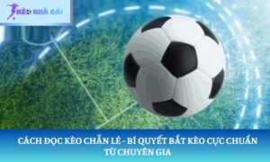 cách đặt kèo chẵn lẻ