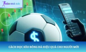 cách đọc kèo bóng đá