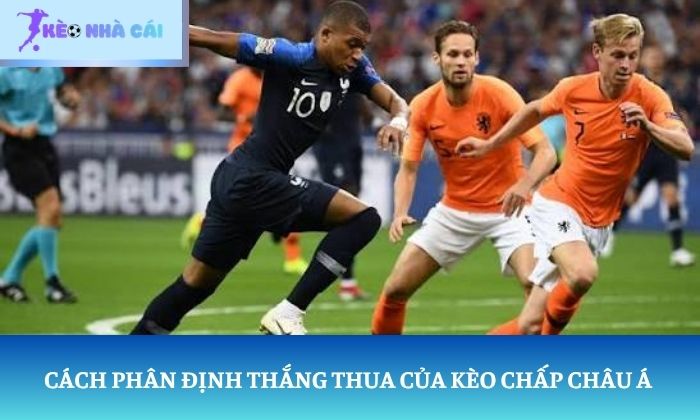 cách đọc kèo bóng đá Euro