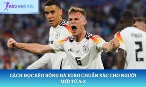 Cách đọc kèo bóng đá Euro