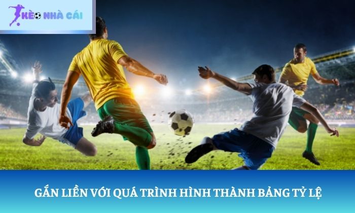 Cáp kèo là gì? Vì sao thuật ngữ này được nhắc đến nhiều? 2 Gắn liền với quá trình hình thành bảng tỷ lệ