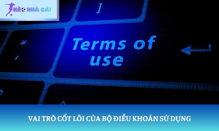 Điều khoản sử dụng