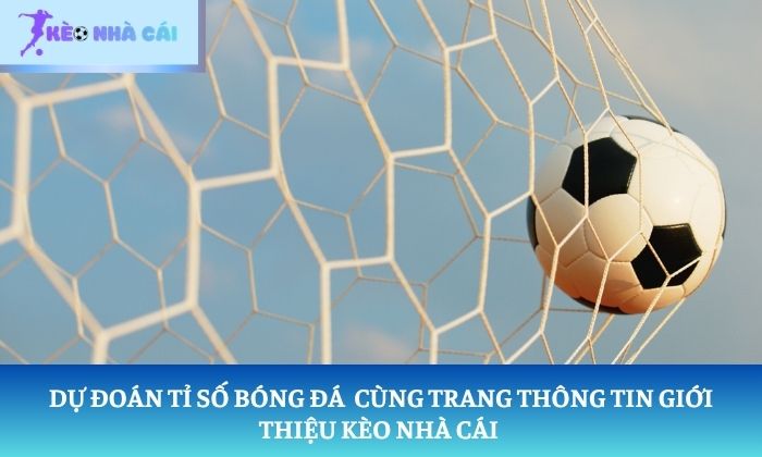 Giới thiệu kèo nhà cái