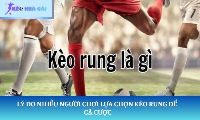 hướng dẫn chơi kèo rung