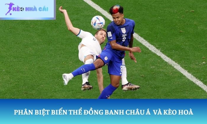 kèo hòa