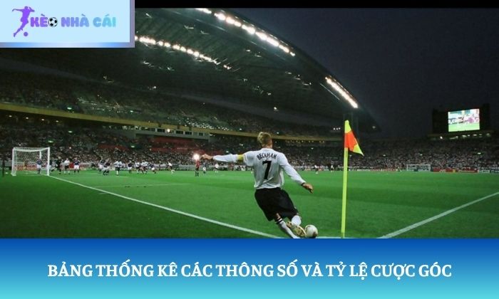 soi kèo phạt góc