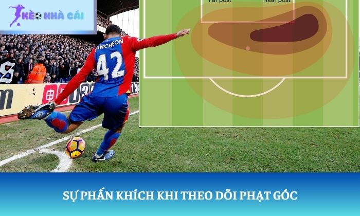 soi kèo phạt góc
