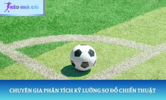 soi kèo phạt góc