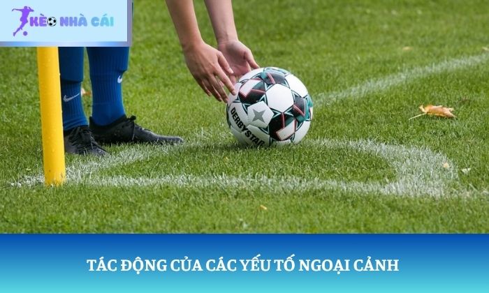 soi kèo phạt góc