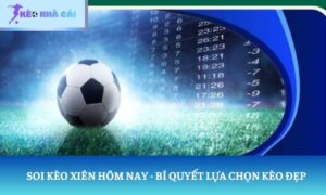 soi kèo xiên hôm nay
